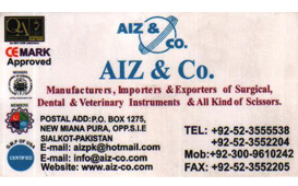 1295521904_aiz&co_global_business_card.jpg