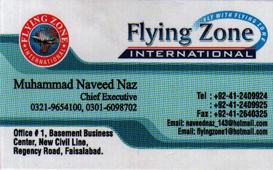 1302329128_flyingzoneinternational_global_business_card.jpg