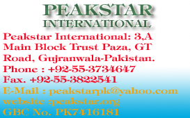 1350719838_Peakstar_International_GLOBAL_BUSINESS_CARD.jpg