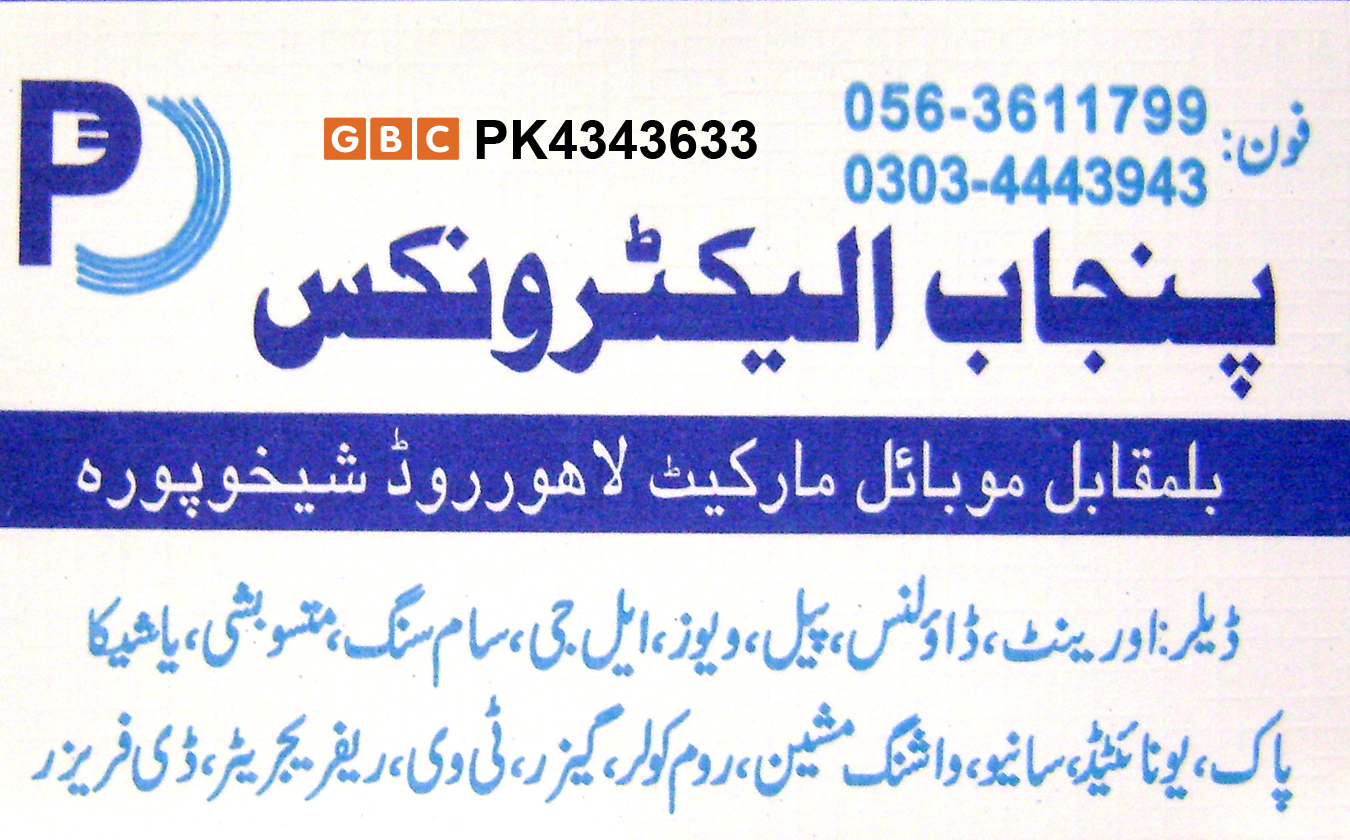 1371029595_Punjab_Electric_GLOBAL_BUSINESS_CARD.jpg