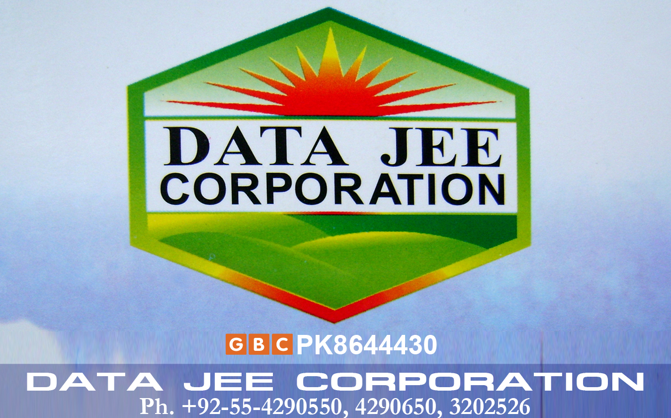 1372482988_Data_Jee_Corporation_GLOBAL_BUSINESS_CARD.jpg